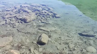 Изумрудное озеро, национальный парк Джаспер, Алберта ,Канада.