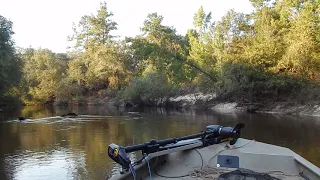 Ochlockonee River