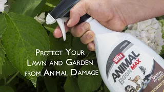 Prevent Animals From Eating Your Plants With Ortho® Animal B Gon™ MAX