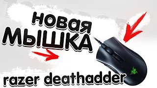 Обзор на мышку razer deathadder v2 mini