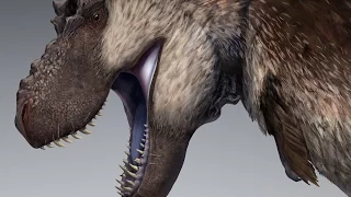 Did T.rex have feathers?