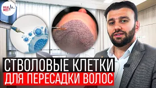 Стволовые клетки для пересадки волос // Лечение стволовыми клетками в Турции