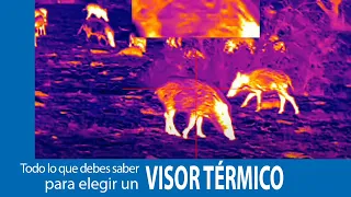 Todo lo que debes saber para elegir un VISOR TÉRMICO para la caza