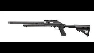 Magnum Research MLR. Ruger 10/22 на "максималках"