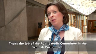 What does the Public Audit and Post-legislative Scrutiny Committee do?