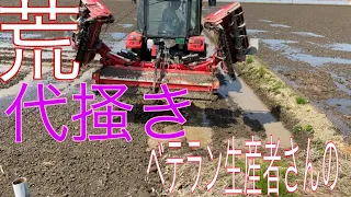 流石。先輩生産者さん