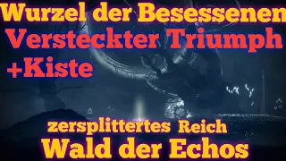 Destiny 2 VERSTECKTER TRIUMPH - Wurzel der Besessenen - Wald der Echos - Zersplittertes Reich