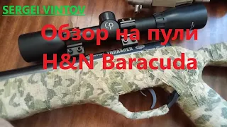 Обзор на пули H&N Baracuda