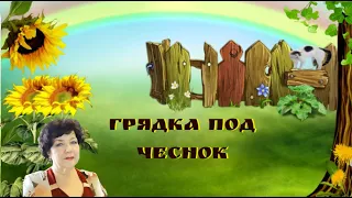 Грядка под чеснок