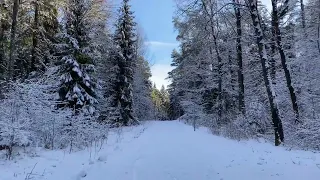 4K Virtual Winter Walk - Walking in a Snow Forest with Snow Crunch Sound ❄️ Västerås Sweden