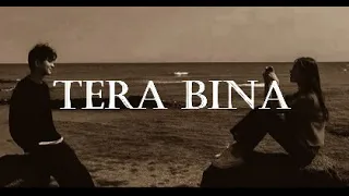 Tera bina - Zaeden (slowed & reverb) LastNight
