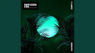 Flames (David Guetta Remix)