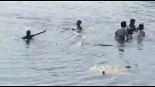 Crocodile attack on a woman