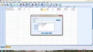 uji independent sample t-test (uji - t) dengan SPSS