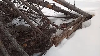 Sasquatch Interior B.C. "Discovery of a huge structure"