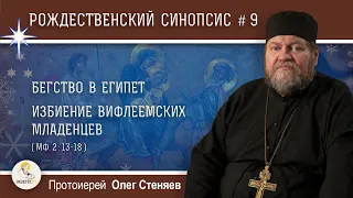 Рождественский синопсис #9. Бегство в Египет. Избиение вифлеемских младенцев. Прот. Олег Стеняев