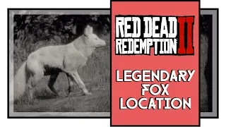 Red Dead Redemption 2 Legendary Fox Location