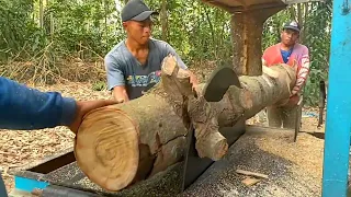 Orang orang kuat, menggergaji kayu nyampoh di buat usuk bahan plafon // gergaji serkel rakitan