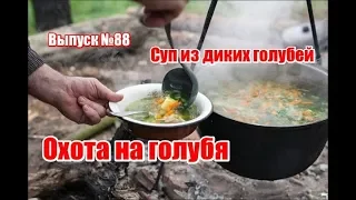 Охота на голубя | Суп из диких голубей | Выпуск №88 (UKR)