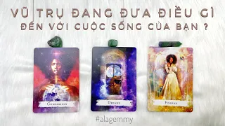 VŨ TRỤ ĐANG ĐƯA ĐIỀU GÌ ĐẾN VỚI CUỘC SỐNG CỦA BẠN? ✨Tarot🪄 WHAT IS UNIVERSE SENDING TO YOUR LIFE?