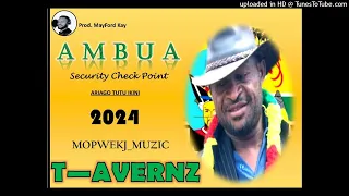 AMBUA Security Check Point (T-Avernz) 2024