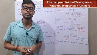 Channel Proteins and Transporters: Uniport, Symport and Antiport