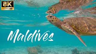 Maldives in 8K - Подводный мир Индийского океана