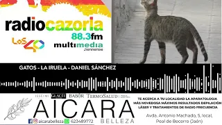 PODCAST - Gatos en La Iruela - Daniel Sánchez