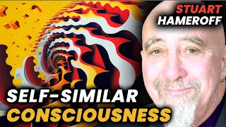 Stuart Hameroff: Penrose & Fractal Consciousness