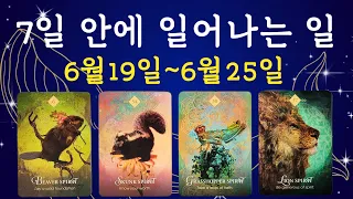 🔯타로🔯  7일 안에 일어나는 일 🌟 주간타로🧿✨️ 6월19일~6월25일