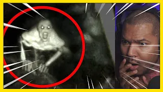 5 Mysterious Creatures Caught on Tape : Top 5 STRANGE Creatures | Reaction