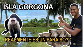 Isla Gorgona Un Pedazo de cielo en la Tierra - Como es y Como llegar