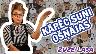 PASAKA: "Kāpēc suņi viens otru apošņā?"