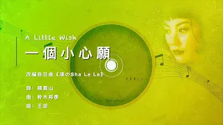 王菲 Faye Wong【一个小心愿 A Little Wish】ENG SUB / Chinese / Pinyin～歌词见⬇️描述