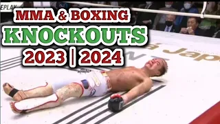 Most Brutal knockouts in MMA & Boxing 2023 | 2024