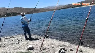 iki gün tek başıma sazan avı yaptım.güzel balıklar aldım.karakaya sazan avı.