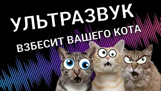 Ультразвук Звуки для кошек и собак | РАЗДРАЖАЮЩИЕ ЗВУКИ