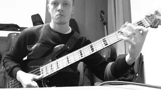 Valeriy Stepanov - Cute Martlets feat. Federico Malaman (Bass Cover)