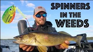 Fishing Spinner Rigs - Early Summer Walleye Fishing