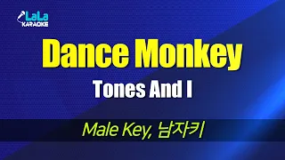 Tones And I - Dance Monkey (Male Key) karaoke 노래방 mr