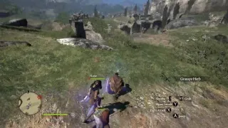 dragons dogma test run