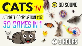 CATS TV -  ULTIMATE Games Compilation for CATS & DOGS #02 (50 games in 1)  - 3 HOURS