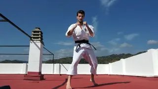 Shokema Shorinji Kempo en casa Práctica 12 parte 2