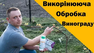 Пізно відкрив виноград. Обробка винограду від антракнозу, мілдью, оїдіуму. Артемікс, Мікротіол