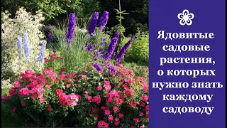 ❀ Ядовитые садовые растения, о которых нужно знать каждому садоводу