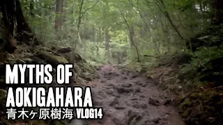 Aokigahara Jukai | 青木ヶ原樹海 | Vlog14 with JD