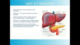 Елена Довгаль: здоровье печени, сахар в крови, диабет: мифы и действительность