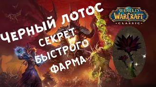 Черный лотос ВОВ Классика - секрет фарма! Лёгкий голдфарм| Black lotus WOW Classic -  fast farming.