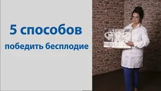 5 способов победить бесплодие