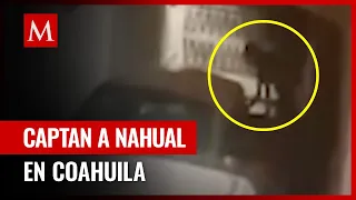 Misterioso encuentro: La aparición de un Nahual en Nava, Coahuila